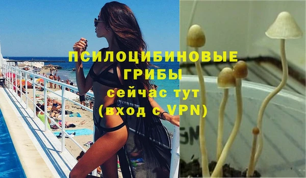 шишки Дмитриев